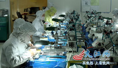 科技創(chuàng)新助跑江西光電升級 寒風中的梅花搖曳生姿