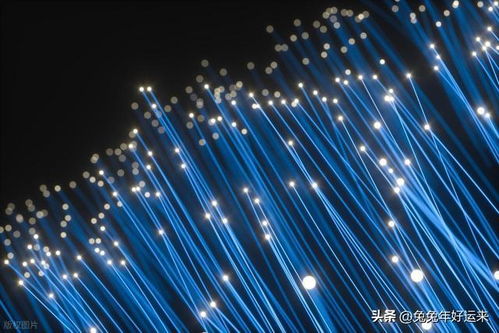 光電新風口 四強角逐，誰將引領光纖漲價下的投資熱潮？
